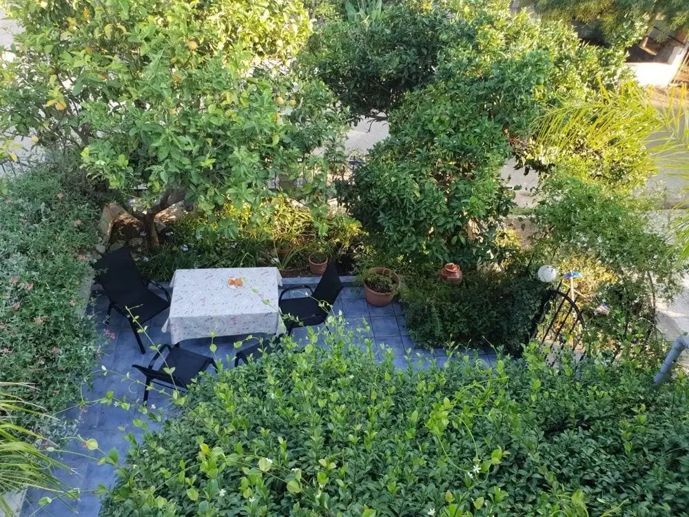 The Jasmine House