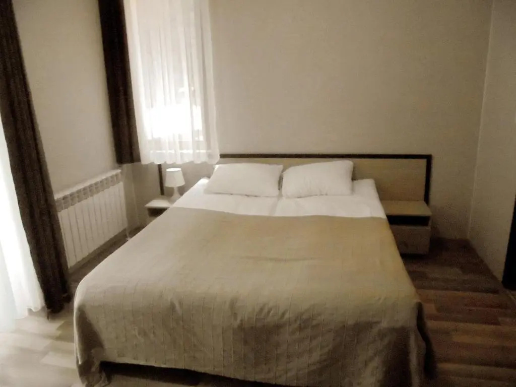 Standard Double room with mountain view (full double bed)