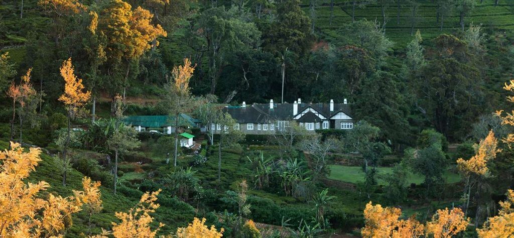 Scottish Planter Glendevon Bungalow