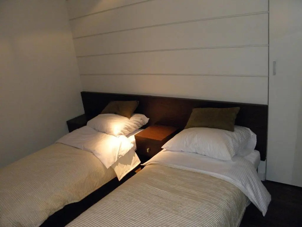 Standard Double room (twin beds)