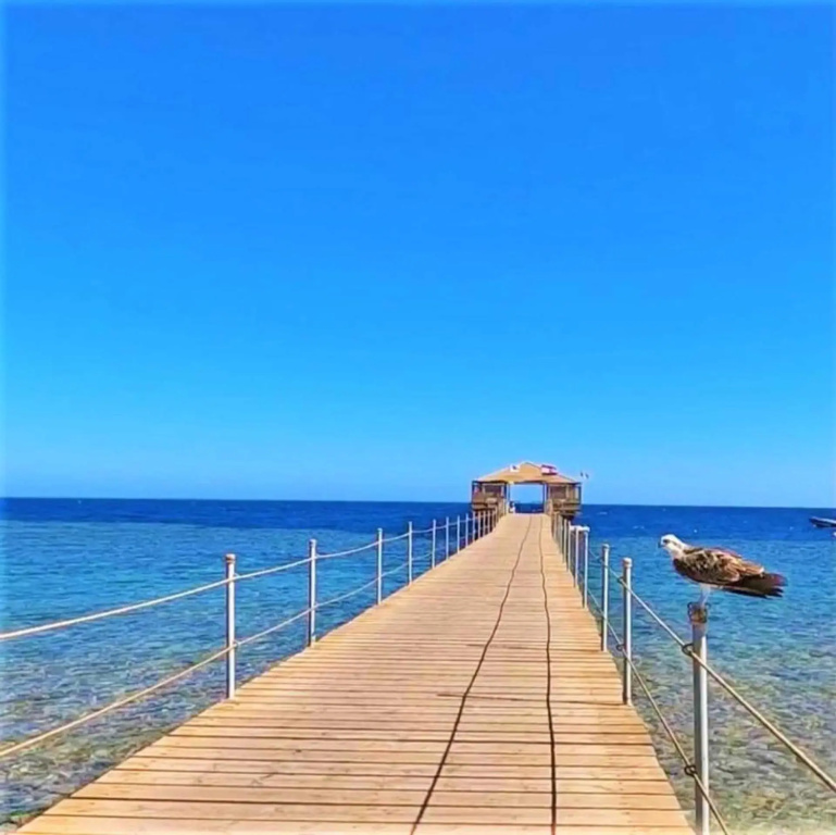 Rohanou Beach Resort - фото 24