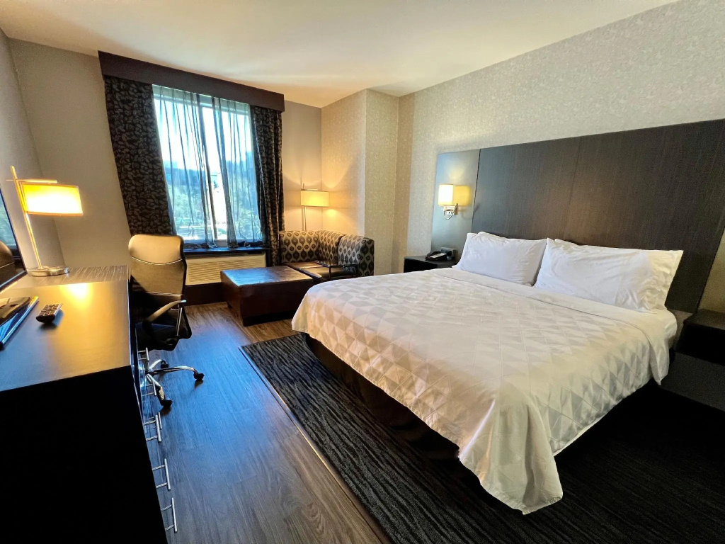 Holiday Inn Carlsbad by IHG - Chambres