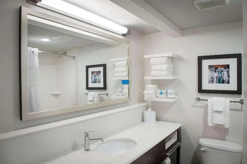 Hampton Inn New Orleans-St. Charles Ave./Garden District - Chambres