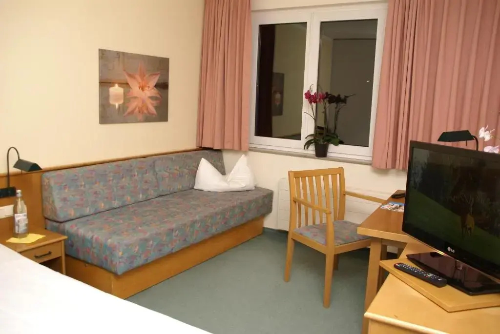 Economy Double room (full double bed)