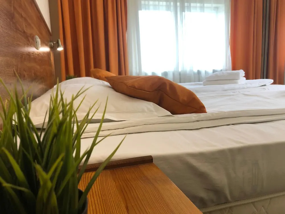 Economy Double room with mountain view (full double bed)