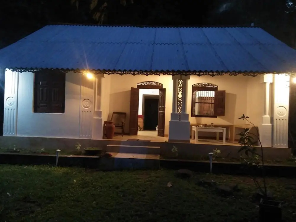 The Jungle House