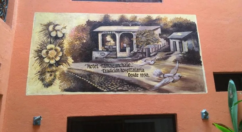 Hotel Tamazunchale - Général