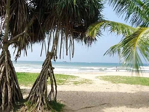 Riverside Inn Fuji - фото 21