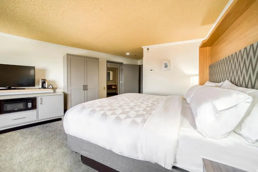 Holiday Inn Mobile-Dwtn/Hist. District by IHG - Chambres