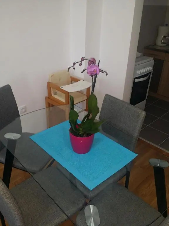 Apartment Jelena