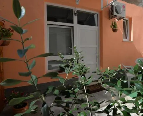 Olive Tree City Apartment