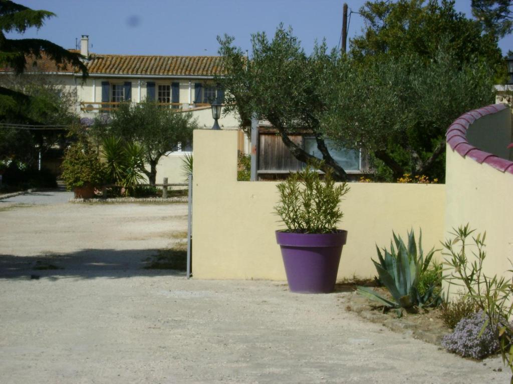 Image 12