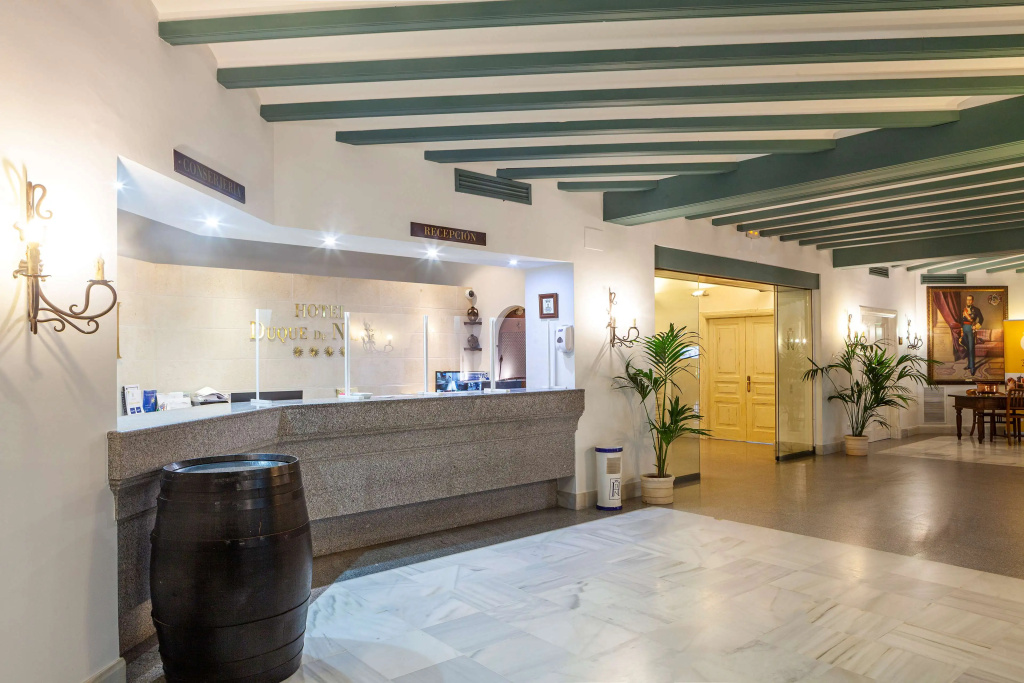 Hotel Duque De Najera - Général