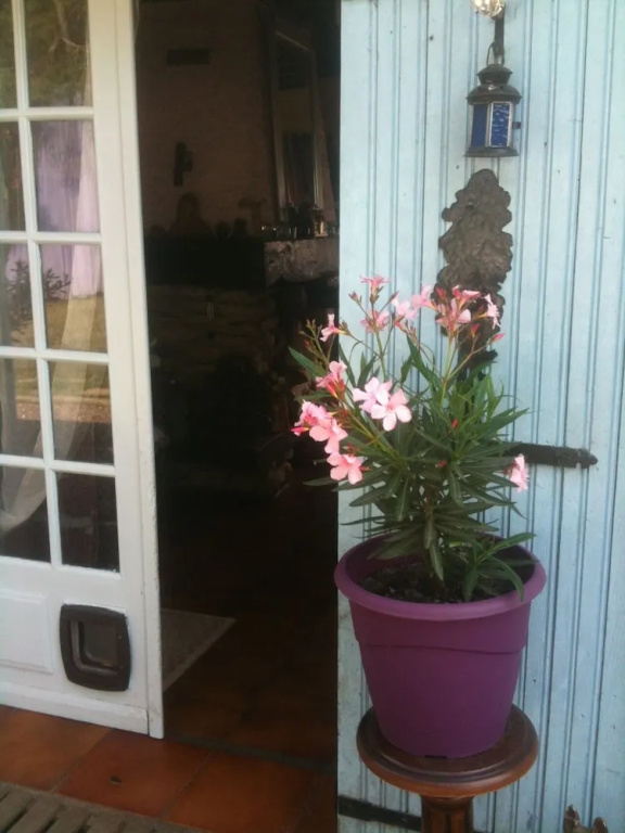 Voir la photo 3 — La Grange