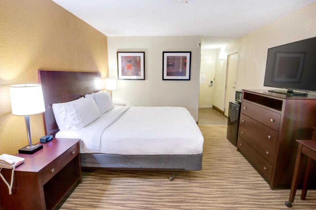 Holiday Inn St Petersburg N - Clearwater by IHG - Général