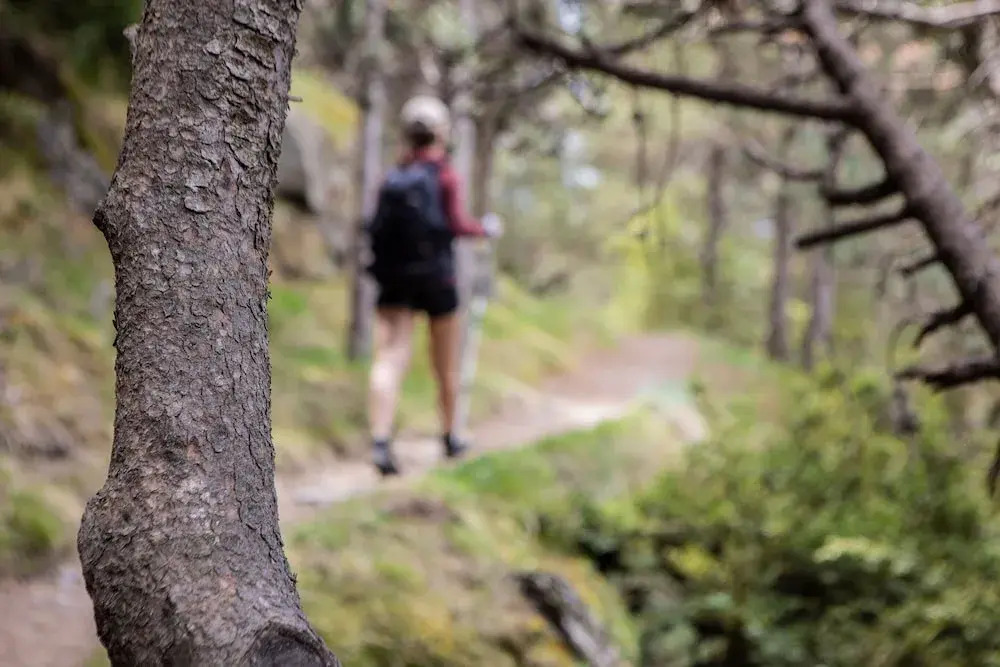 Sercotel Font - фото 48