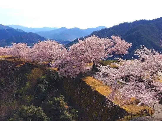 Kannabesansou