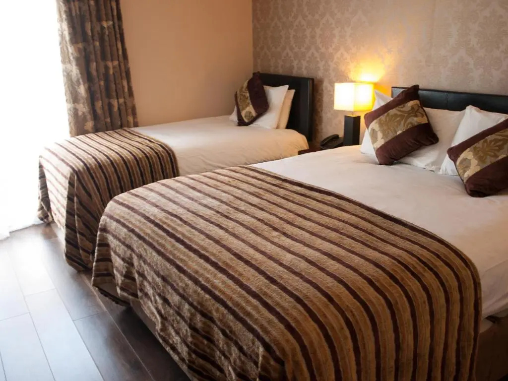 The George Limerick Hotel - Chambres