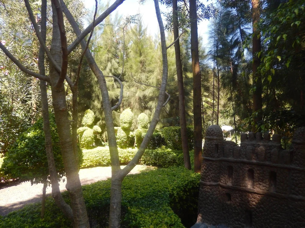 Hotel photo 12