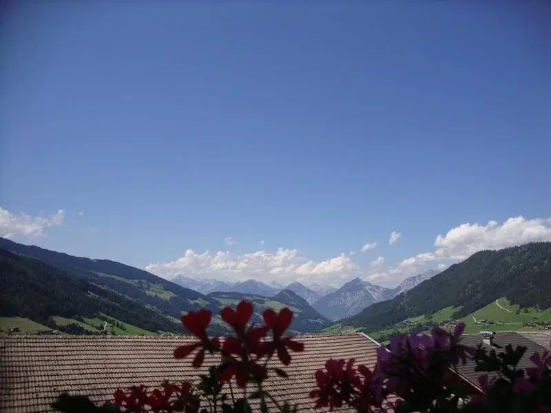 Hotel photo 40