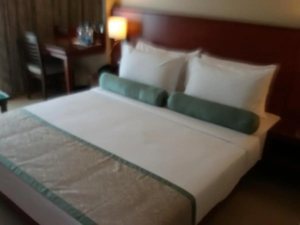 Hotel Green Olive - Général