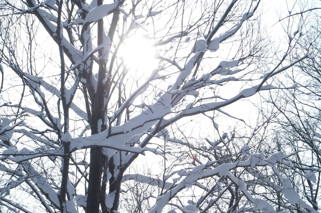 Yumoto Niseko Prince Hotel Hirafutei - Général