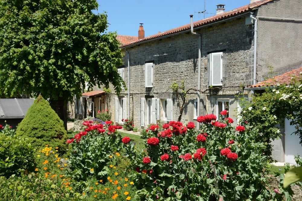 Les Noyers Aulnay