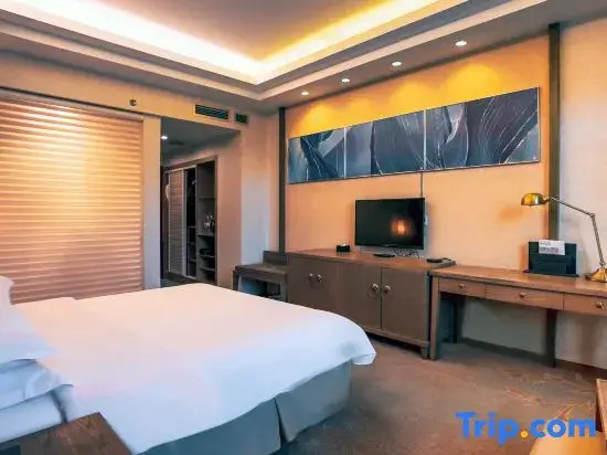 Fliport Garden Hotel Lhasa - Chambres