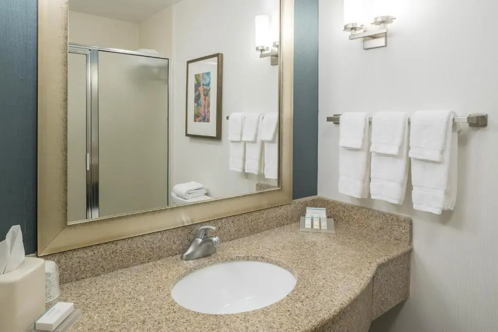 Hilton Garden Inn Dothan - Chambres