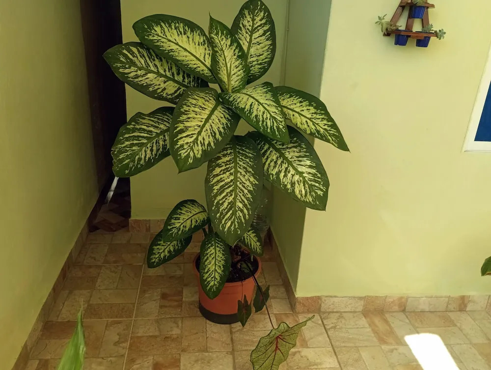 Image 11