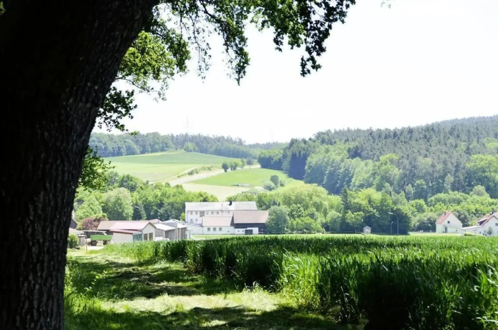 Hotel-Gasthof Am Forsthof - Général