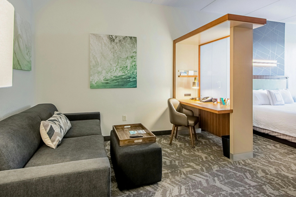 SpringHill Suites by Marriott Tampa North/I 75 Tampa Palms - Général