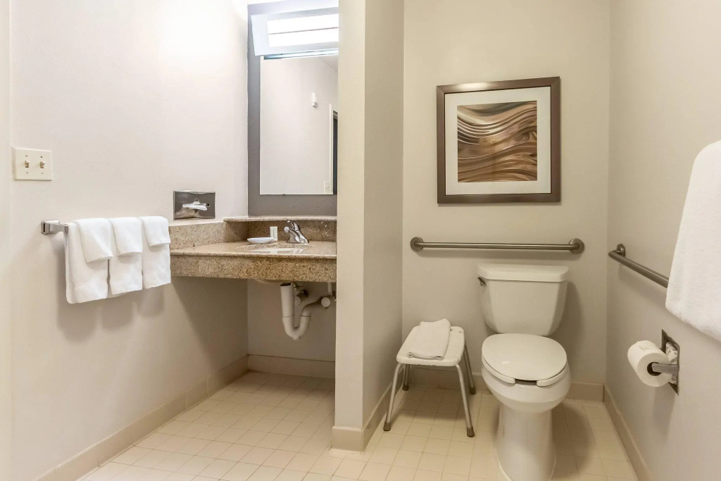 Courtyard by Marriott Dallas DFW Airport South/Irving - Chambres