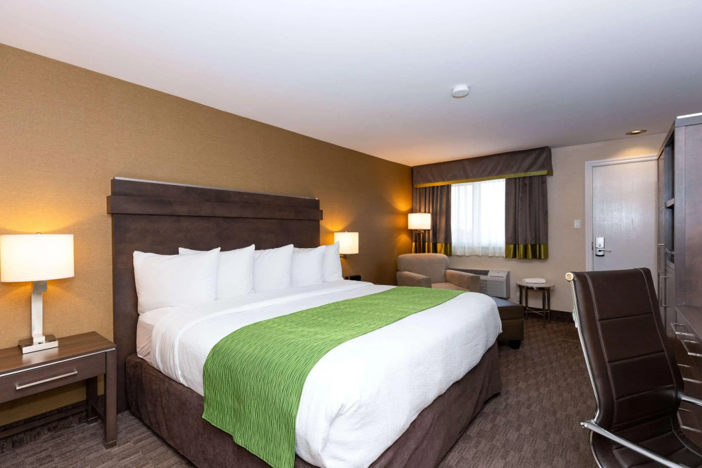 Quality Inn & Suites - фото 33
