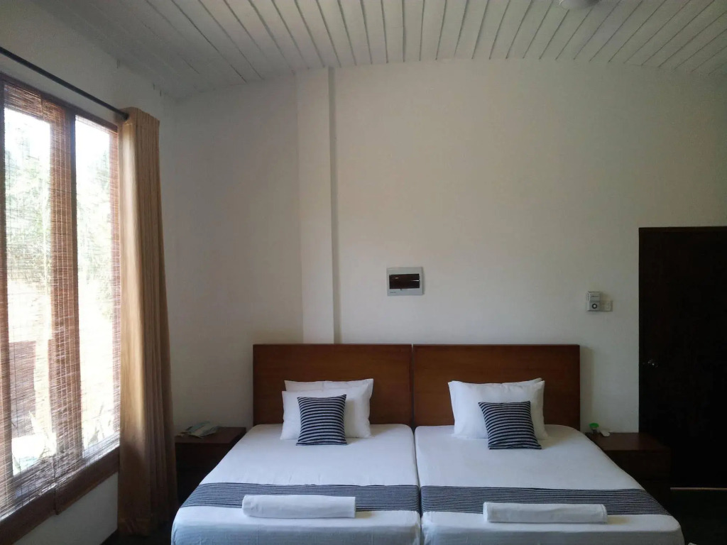 Lacasita bentota - фото 5