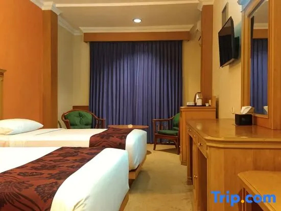 Superior Double room (twin beds)