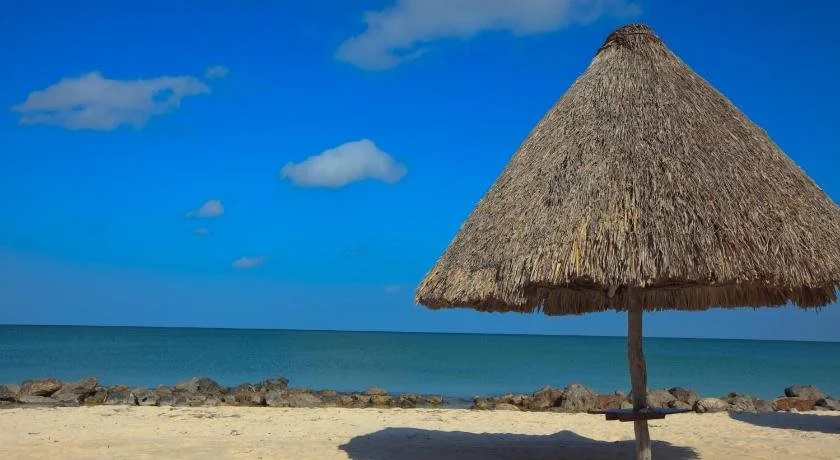 Beach & Waterfront