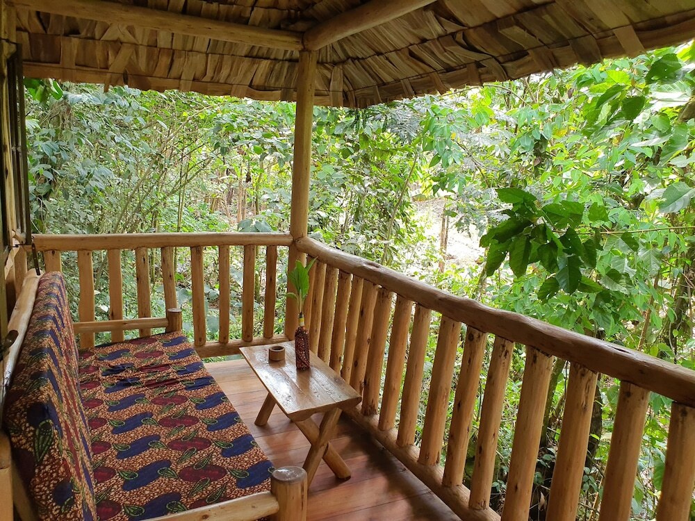 The Gorilla Resort