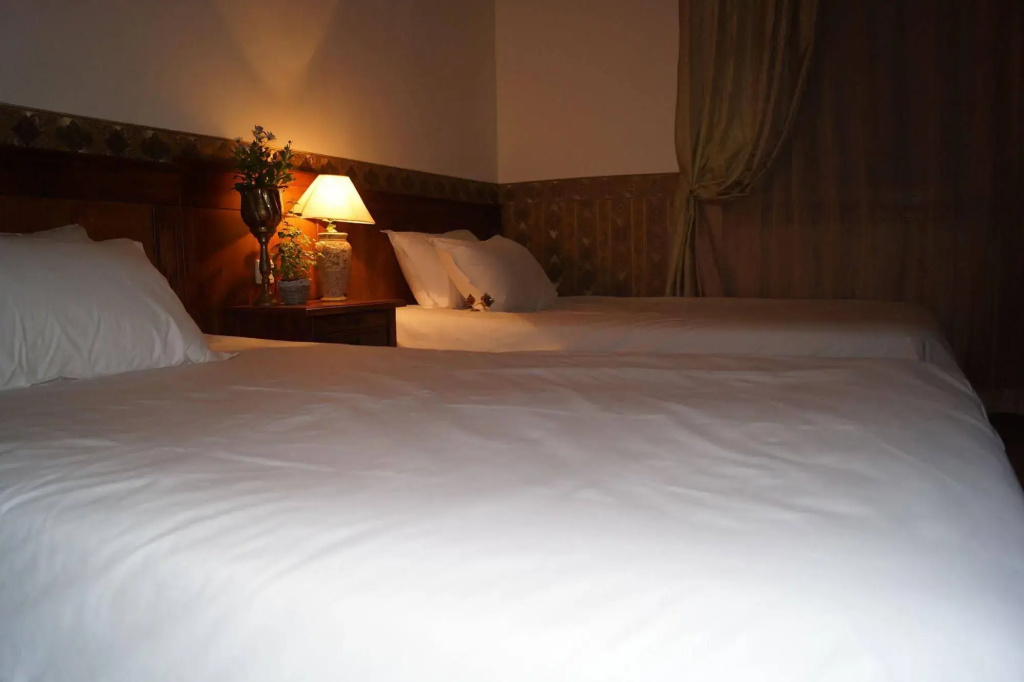 Boutique Troy Hotel - Général