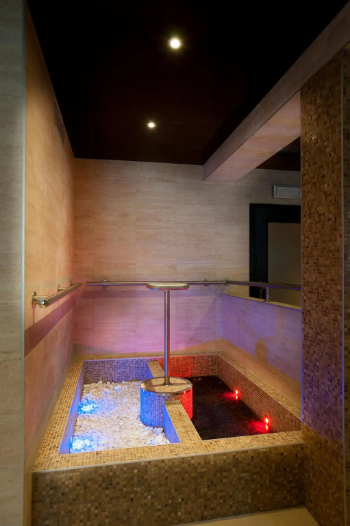 Spa Hotel Millenium Karlovy Vary - Général