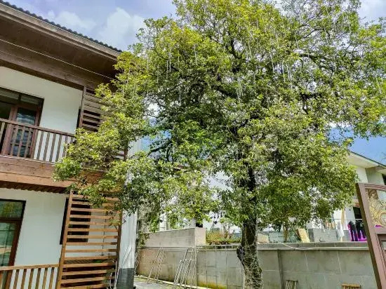 Qixin Valley Homestay