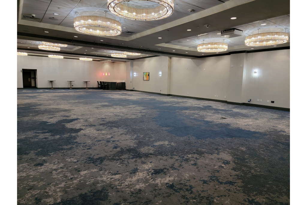 Crowne Plaza Dallas Downtown by IHG - Général