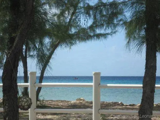 Tradewinds Guest Suites - фото 4