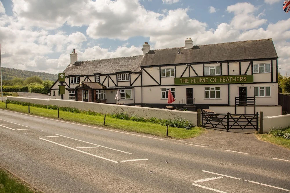 The Plume of Feathers, A458