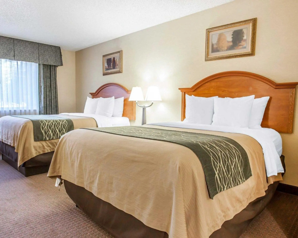 Double Suite (full double bed)