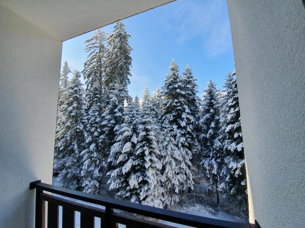 Pinewood ANG luxurious apartment A43, Borovets Gardens