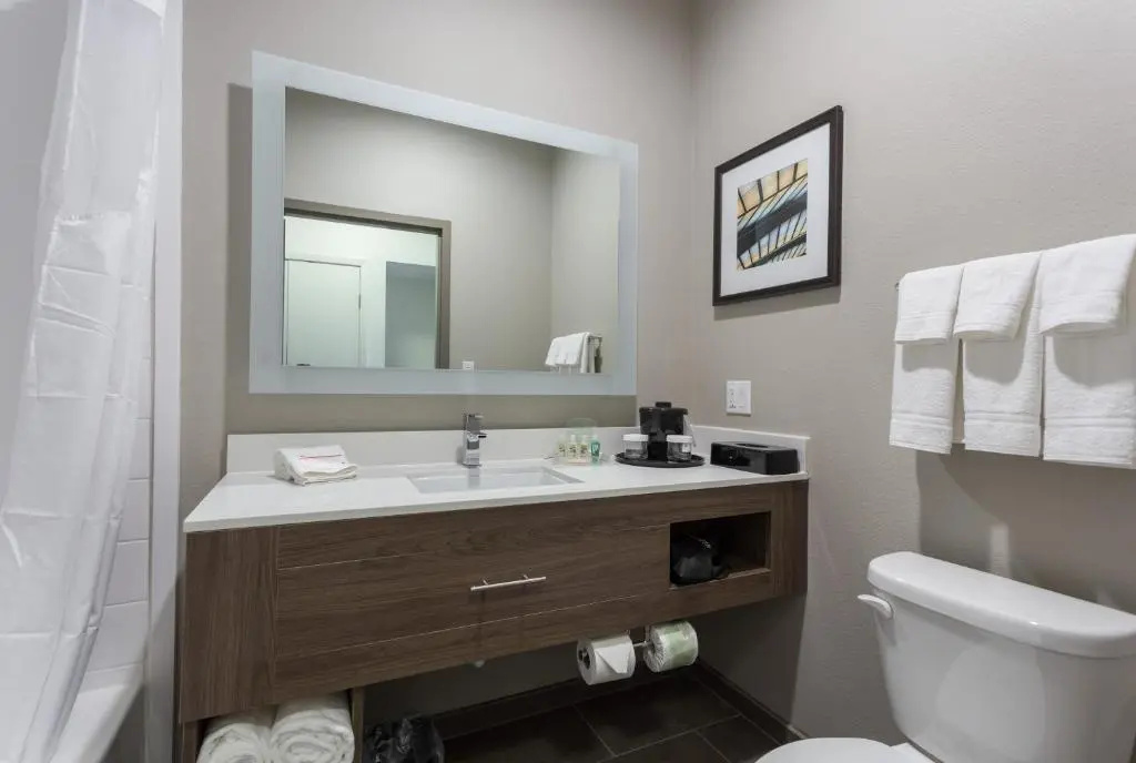 Holiday Inn San Marcos-Convention CTR Area by IHG - Chambres