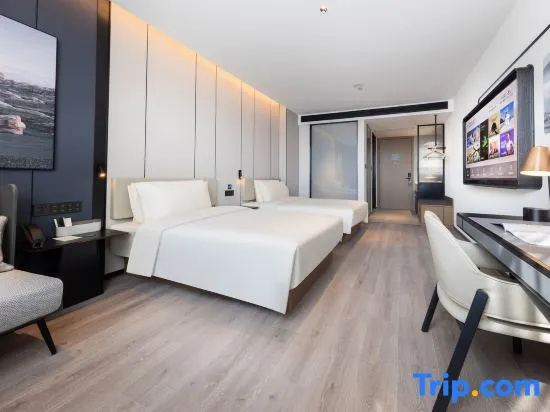 Executive Double room (twin beds)