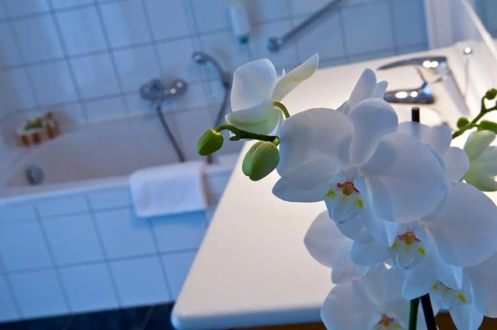 Cocoon Hotel Belair - Chambres