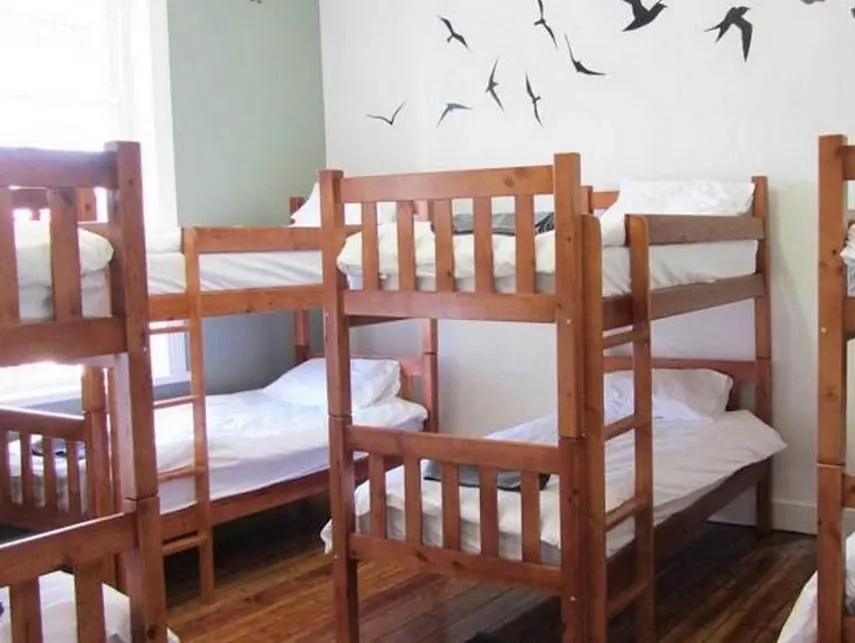 Bed in Dorm